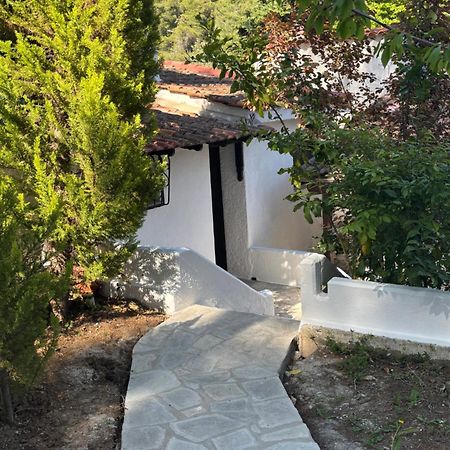 Sani Garden House Villa Exterior foto