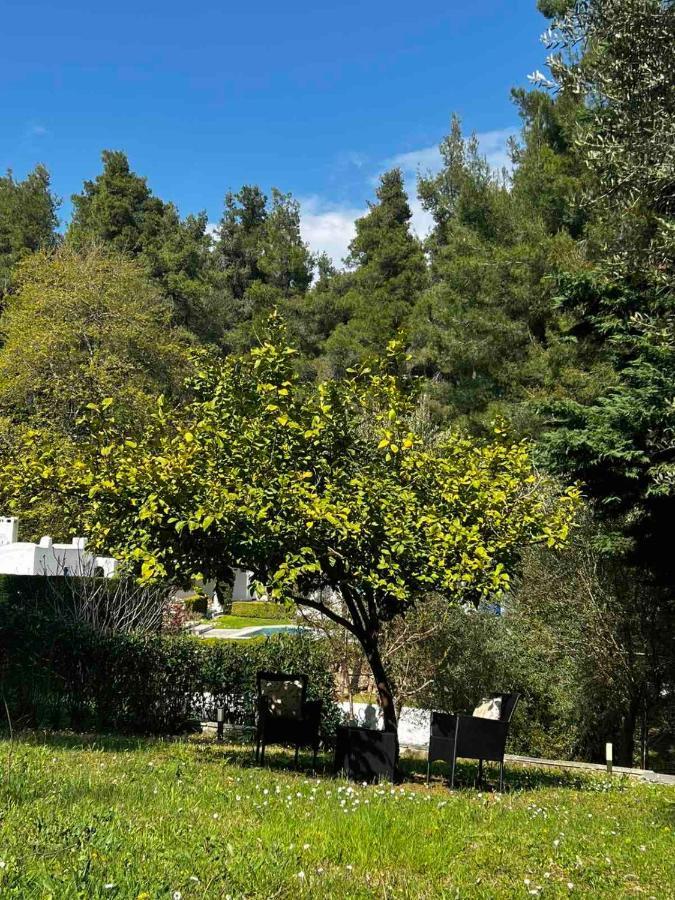 Sani Garden House Villa Exterior foto